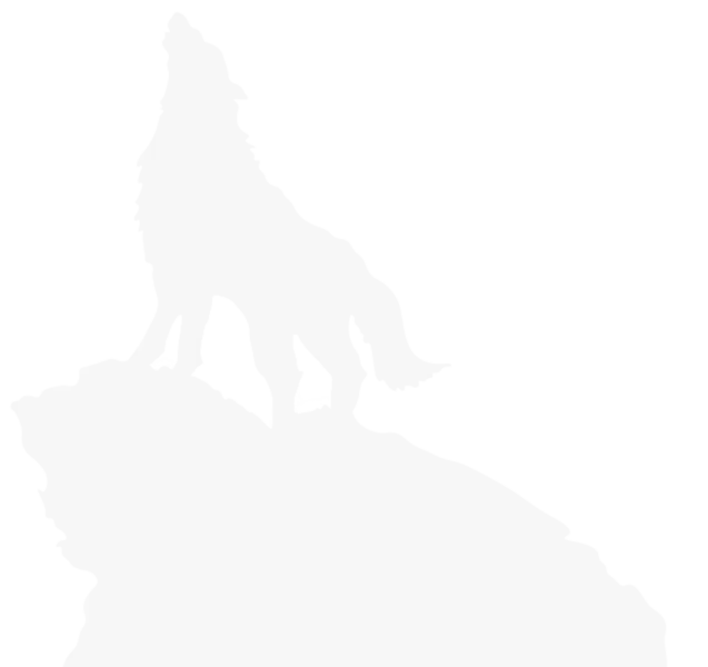 loup-blanc (3)